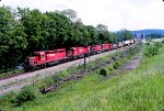 553 with lots of horses